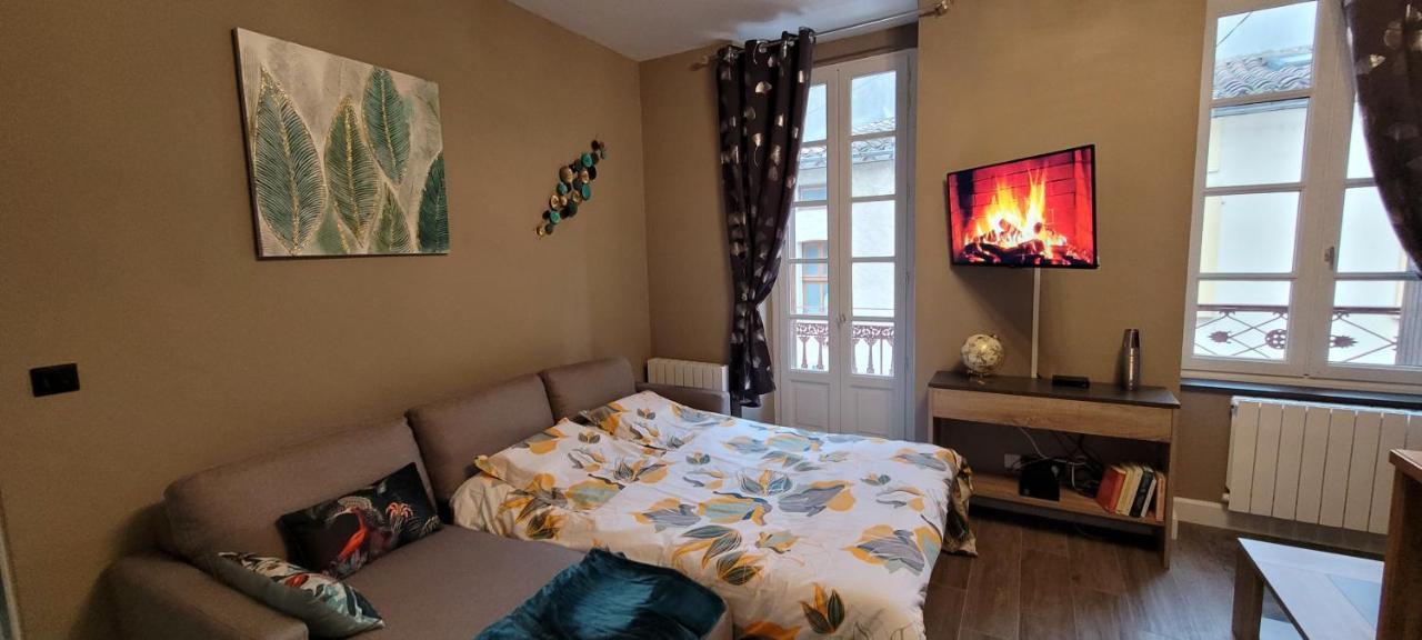 Appartement Le Moulin Vert Carcassonne Zewnętrze zdjęcie